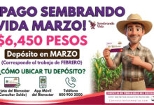 ¡Fecha de pago! En Marzo recibes $6,450 pesos del programa Sembrado Vida 2026