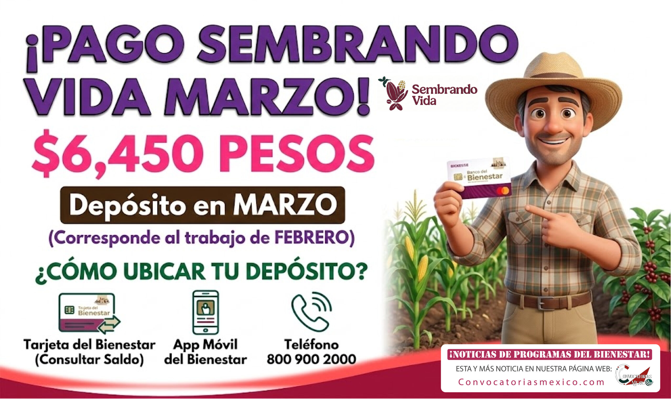 ¡Fecha de pago! En Marzo recibes $6,450 pesos del programa Sembrado Vida 2026