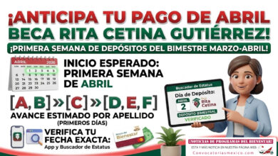 Mesa de trabajo 5 383