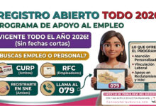 Programa de apoyo al empleo consulta los requisitos necesarios para este 2026