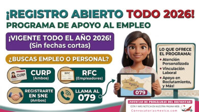 Programa de apoyo al empleo consulta los requisitos necesarios para este 2026