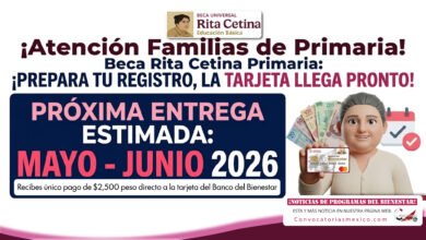 Beca Rita Cetina para primaria: la entrega de tarjetas a los meses de mayo y junio de 2026