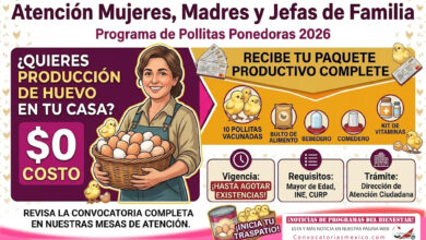 Mesa de trabajo 5 416