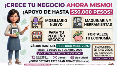 Crece tu Negocio en 2026: apoyo de hasta 30 mil pesos para mobiliario, maquinaria y herramientas