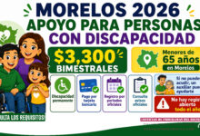 Morelos 2026: Programa para el Bienestar de las Personas con Discapacidad ofrece apoyo económico y social