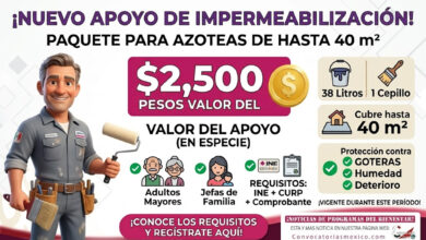Jalisco Sí Pinta 2026: apoyo para impermeabilizar azoteas con paquete de hasta 40 m² 19 Jalisco Sí Pinta 2026: apoyo para impermeabilizar azoteas con paquete de hasta 40 m²