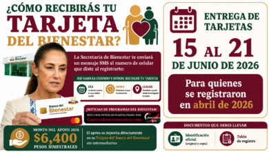 Cómo recibirás tu tarjeta de la Pensión Bienestar para Personas Adultas Mayores: este es el proceso para cobrar el apoyo