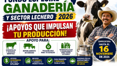 Fondo Especial para la Ganadería y el Sector Lechero Jalisco 2026: apoyos, requisitos y fecha límite