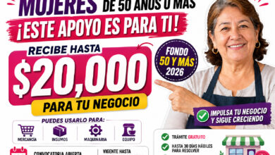 Mesa de trabajo 5 466