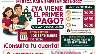 Mesa de trabajo 5 478