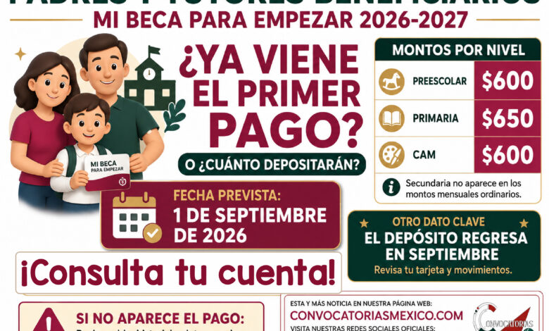 Mesa de trabajo 5 478