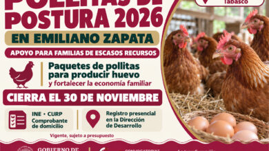 Emiliano Zapata, Tabasco, mantiene el programa Pollitas de Postura 2026 para familias de escasos recursos. Consulta requisitos y fecha límite del 30 de noviembre.