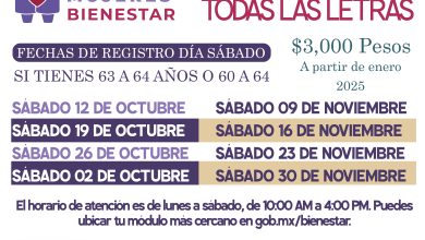 Mesa de trabajo 6 106