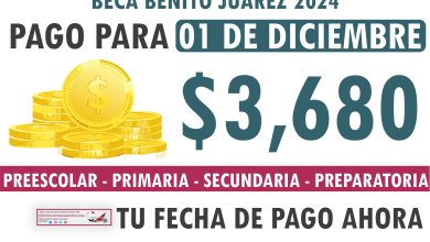 Mesa de trabajo 6 127