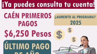 Mesa de trabajo 6 146