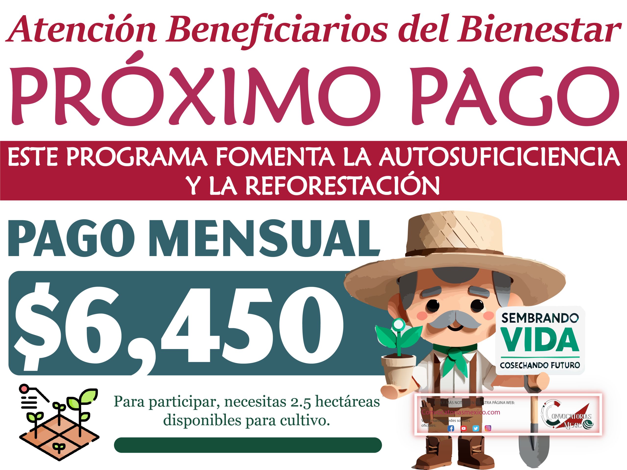 ¡A un día pago de $6,450 pesos! Pago mensual de este programa del bienestar 2025