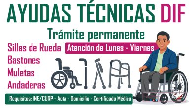 Sillas de ruedas, bastones, muletas y andaderas Programa servicio de Ayudas Técnica