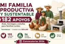 Mi Familia Productiva y Sustentable en Guanajuato: entregan aves, borregas y estufas para apoyar a familias rurales