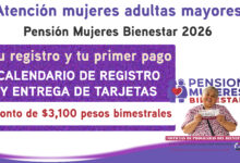 Mesa de trabajo 6 312