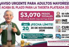 Mesa de trabajo 6 368