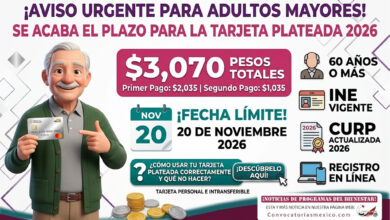 Mesa de trabajo 6 368