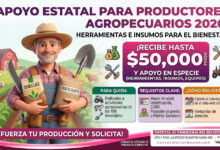 Herramientas e Insumos para el Bienestar 2026: apoyo estatal para productores agropecuarios en los 106 municipios