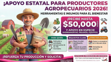 Herramientas e Insumos para el Bienestar 2026: apoyo estatal para productores agropecuarios en los 106 municipios