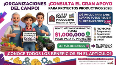 Campo Guanajuato 2026: apoyos productivos para organizaciones del campo en Guanajuato