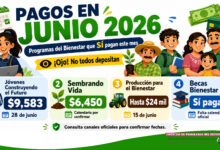 Nuevos pagos para beneficiarios en junio 2026: programas del Bienestar que sí pagan este mes