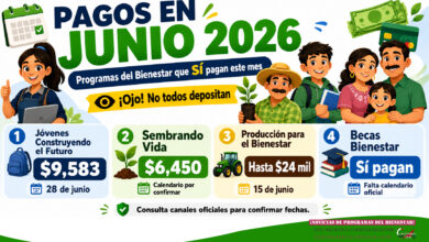 Nuevos pagos para beneficiarios en junio 2026: programas del Bienestar que sí pagan este mes
