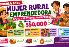 Mujer Rural Emprendedora Puebla 2026: apoyo de hasta $50 mil para proyectos productivos de mujeres rurales