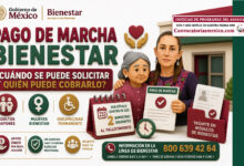 En junio lo puedes solicitar Pago de Marcha Bienestar: ¿cuándo se puede solicitar y quién puede cobrarlo?