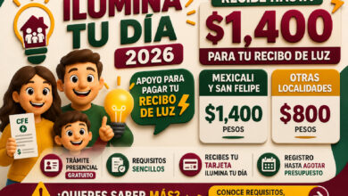 Ilumina tu Día 2026: apoyo de hasta $1,400 para pagar la luz en Baja California