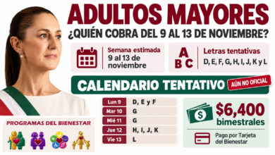 Pensión Bienestar: qué letras podrían cobrar del 9 al 13 de noviembre de 2026