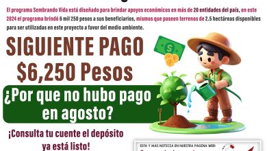 ¿Cuándo es el siguiente pago de Sembrando Vida?