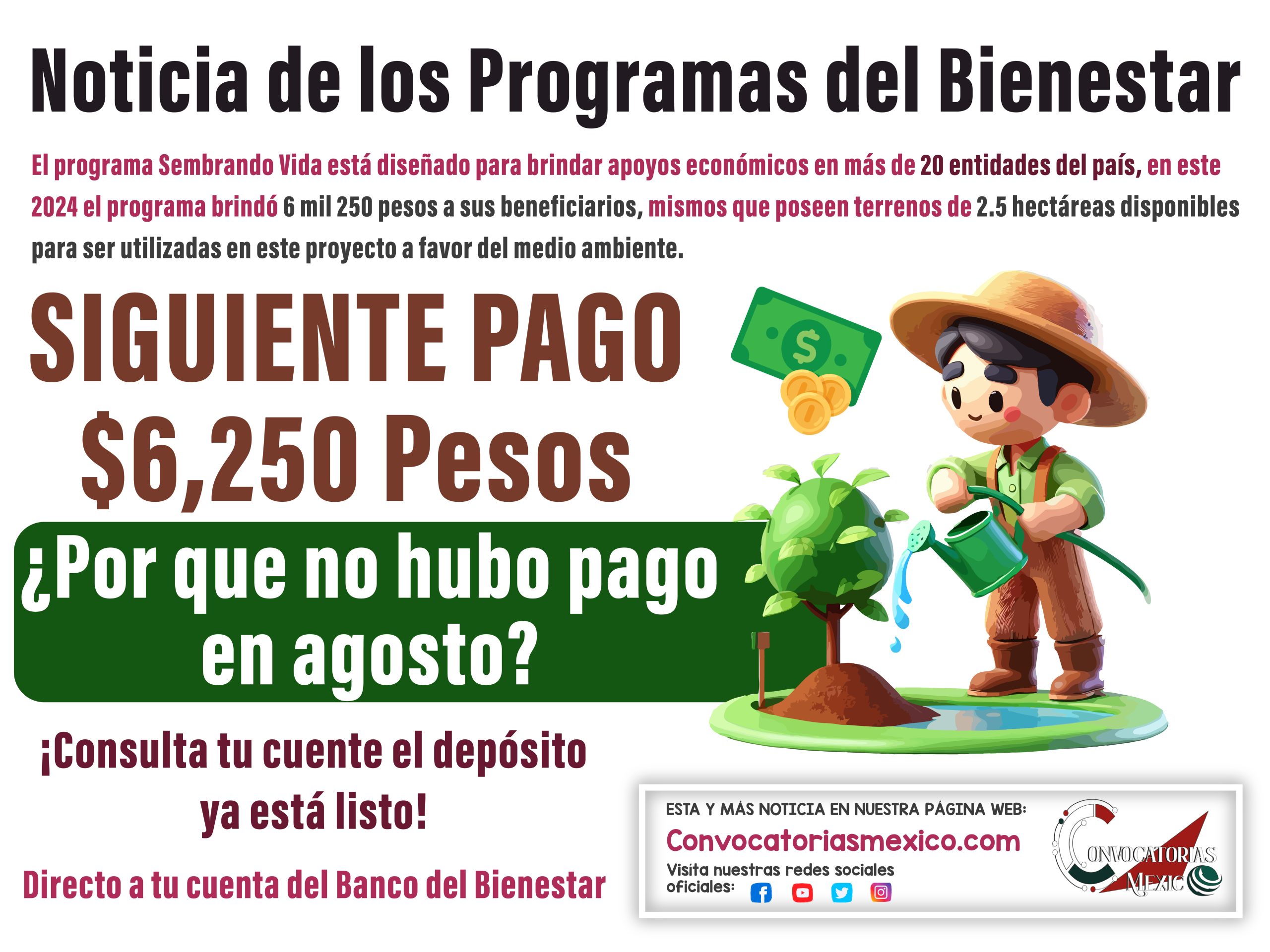 ¿Cuándo es el siguiente pago de Sembrando Vida?