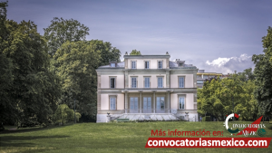 Motivos para elegir el Becas Geneva Academy