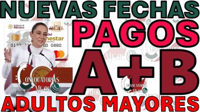 Clarificaciones sobre Pagos, Entrega de Tarjetas y Aumentos por Inflación para Adultos Mayores en Enero 