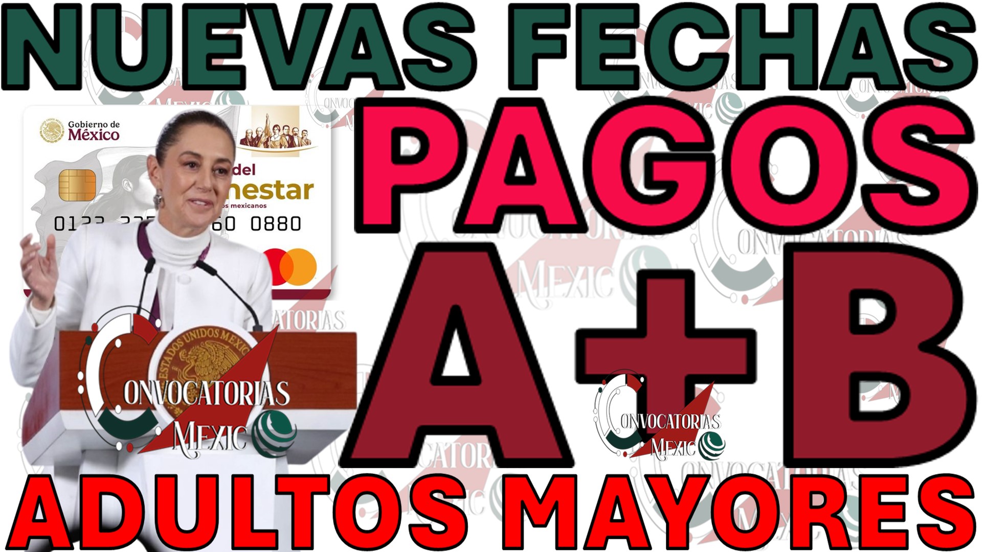 Clarificaciones sobre Pagos, Entrega de Tarjetas y Aumentos por Inflación para Adultos Mayores en Enero 