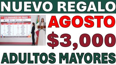 Pagos Bienestar julio-agosto 2025: calendario, montos y qué hacer si el depósito no llega ¡Atentos Adultos Mayores!