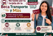 No fuiste por tu tarjeta de la Beca Transporte y Más ¡Conoce las nuevas fechas de entrega! 