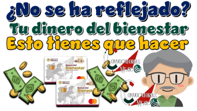 ¿No se ha reflejado tu dinero del bienestar? | Esto tienes que hacer