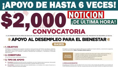 Nuevo apoyo del Bienestar de hasta 12 mil pesos ¡Has tu solicitud Al programa Apoyo al Desempleo para el Bienestar 2024!