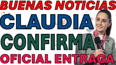OFICIAL PENSION ADULTOS MAYORES 65 Y MAS BIENESTAR