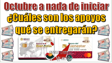 Octubre a nada de iniciar | ¿Cuáles son los apoyos qué se entregan?