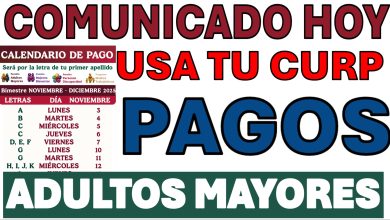 Pensión Bienestar 2025: Anuncian Fechas de Pago Final, Aumento Confirmado y Nueva Incorporación para Adultos de 60 a 65