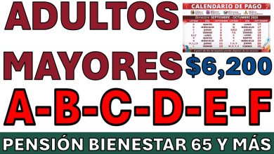 Pensión Bienestar: monto, registro y lo que se sabe del calendario de pagos de septiembre 2025
