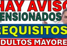 PENSIONADOS BIENESTAR ADULTOS MAYORES 65 Y MAS