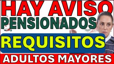 PENSIONADOS BIENESTAR ADULTOS MAYORES 65 Y MAS