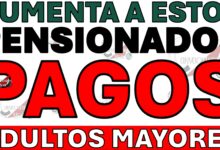 PENSIONADOS DE MEXICO ADULTOS MAYORES